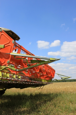 Multinational Food Factories